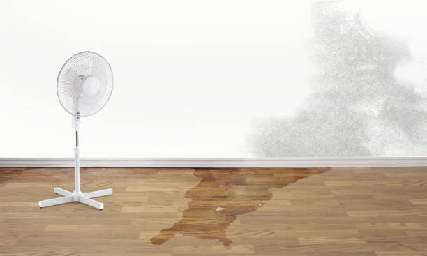 Best Water damage restoration company  in Checotah, OK