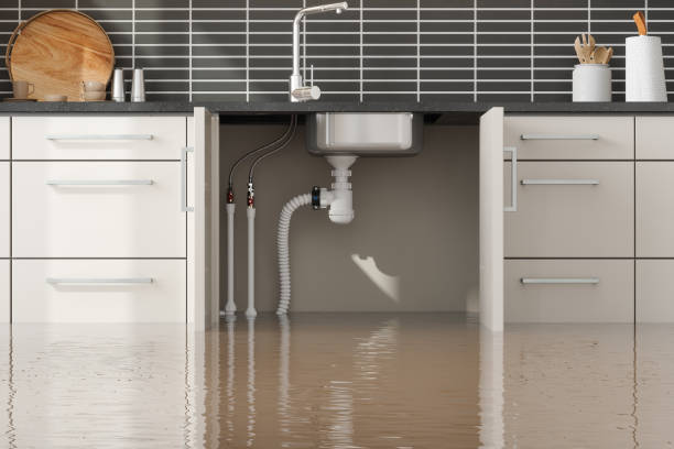 Best Fire Damage Restoration  in Checotah, OK