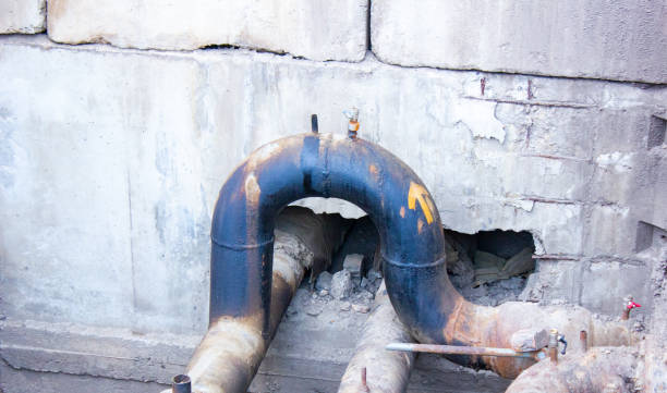 Best Mold removal after water damage  in Checotah, OK